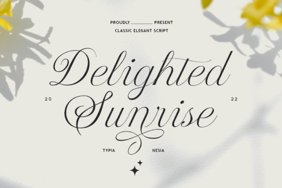 Delighted Sunrise: A Font That Elevates Branding