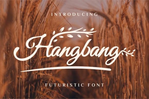 Hangbang: A Vintage Script Font for Modern Marketing