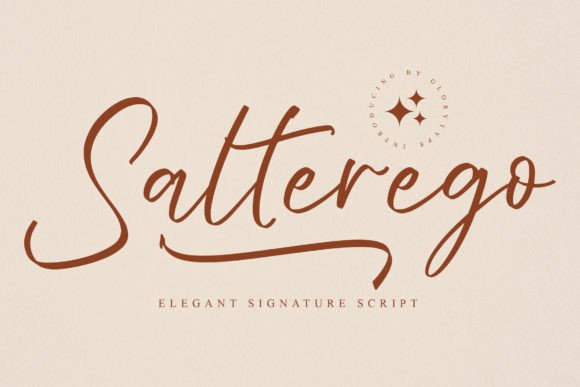 Salterego: A Font That Elevates Branding