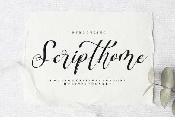 Scripthome Review: A Designer's Take