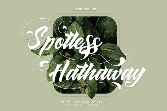Spotless Hathaway: A Font for Polished Branding