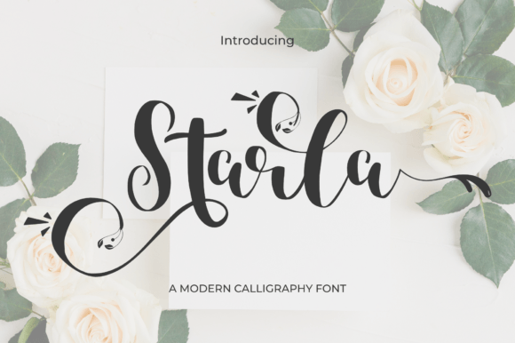 Starla: A Script Font for Creative Campaigns
